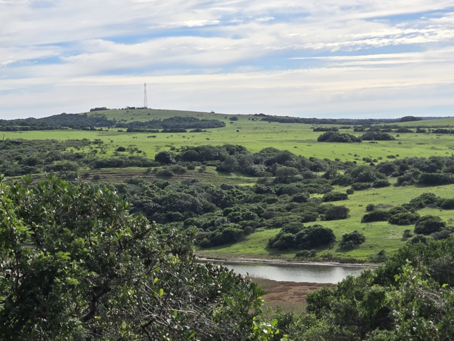 0 Bedroom Property for Sale in Bathurst Rural Eastern Cape